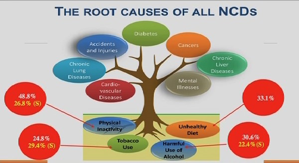 Non-Communicable Diseases in India